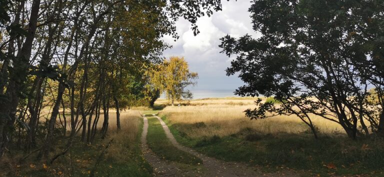 Naturen på Norddjurs, Denmark. Hvorfor sidde inde, når alt håb er ude?